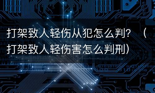 打架致人轻伤从犯怎么判？（打架致人轻伤害怎么判刑）