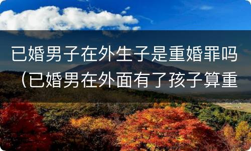 已婚男子在外生子是重婚罪吗（已婚男在外面有了孩子算重婚罪吗）