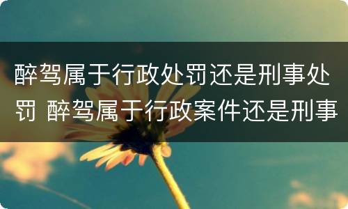 醉驾属于行政处罚还是刑事处罚 醉驾属于行政案件还是刑事案件