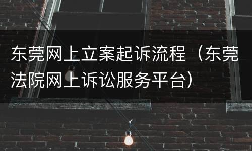 东莞网上立案起诉流程（东莞法院网上诉讼服务平台）