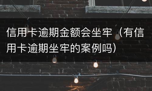 信用卡逾期金额会坐牢（有信用卡逾期坐牢的案例吗）