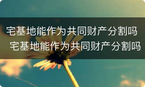 宅基地能作为共同财产分割吗 宅基地能作为共同财产分割吗为什么
