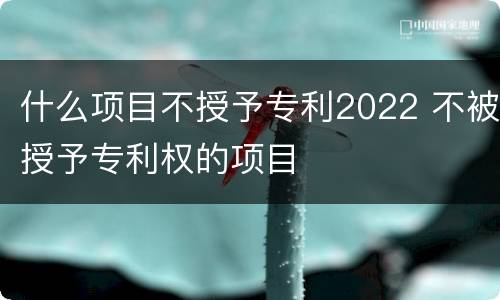 什么项目不授予专利2022 不被授予专利权的项目