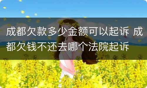 成都欠款多少金额可以起诉 成都欠钱不还去哪个法院起诉