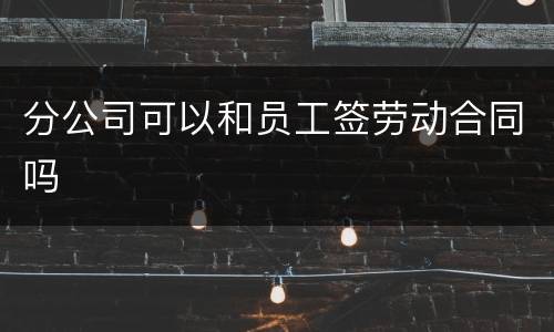 分公司可以和员工签劳动合同吗