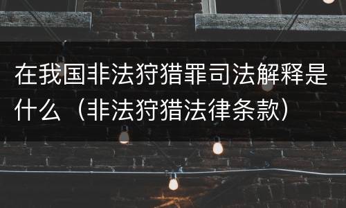 在我国非法狩猎罪司法解释是什么（非法狩猎法律条款）