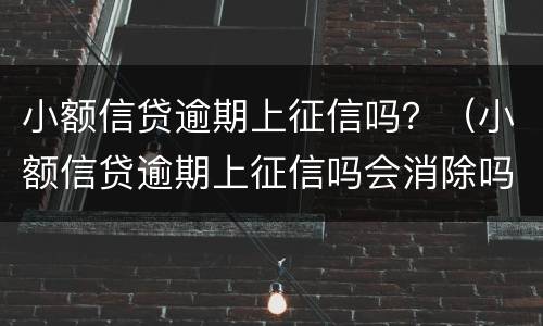 小额信贷逾期上征信吗？（小额信贷逾期上征信吗会消除吗）