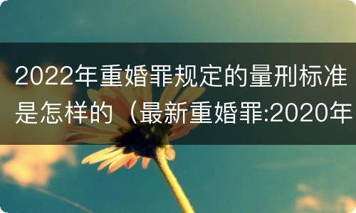 2022年重婚罪规定的量刑标准是怎样的（最新重婚罪:2020年重婚罪最新量刑标准）