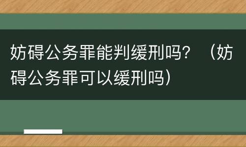 妨碍公务罪能判缓刑吗？（妨碍公务罪可以缓刑吗）
