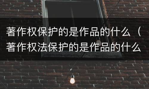 著作权保护的是作品的什么（著作权法保护的是作品的什么）