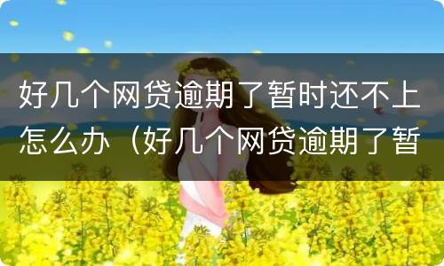 好几个网贷逾期了暂时还不上怎么办（好几个网贷逾期了暂时还不上怎么办呢）