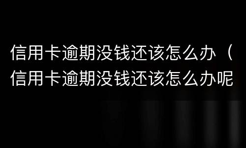 信用卡逾期没钱还该怎么办（信用卡逾期没钱还该怎么办呢）