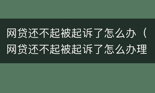 网贷还不起被起诉了怎么办（网贷还不起被起诉了怎么办理）