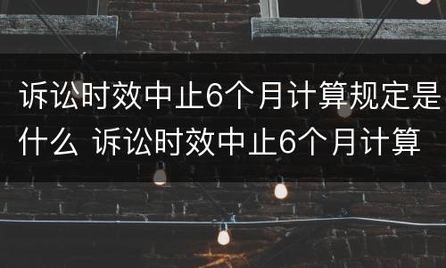 诉讼时效中止6个月计算规定是什么 诉讼时效中止6个月计算规定是什么意思