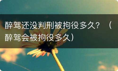 醉驾还没判刑被拘役多久？（醉驾会被拘役多久）