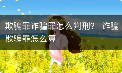 欺骗罪诈骗罪怎么判刑？ 诈骗欺骗罪怎么算