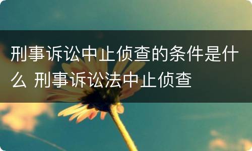 刑事诉讼中止侦查的条件是什么 刑事诉讼法中止侦查