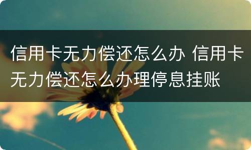 信用卡无力偿还怎么办 信用卡无力偿还怎么办理停息挂账