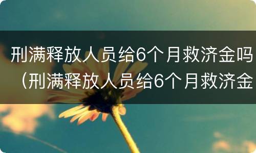 刑满释放人员给6个月救济金吗（刑满释放人员给6个月救济金细则）