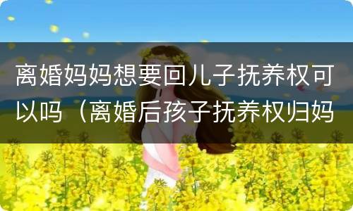 离婚妈妈想要回儿子抚养权可以吗（离婚后孩子抚养权归妈妈,现在爸爸想要回）