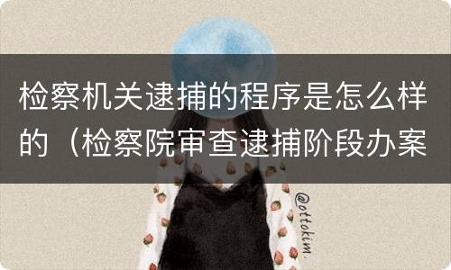 检察机关逮捕的程序是怎么样的（检察院审查逮捕阶段办案流程）