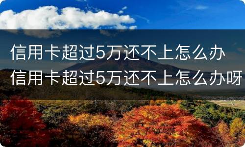 信用卡超过5万还不上怎么办 信用卡超过5万还不上怎么办呀