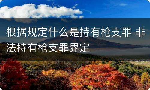 根据规定什么是持有枪支罪 非法持有枪支罪界定