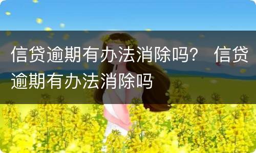 信贷逾期有办法消除吗？ 信贷逾期有办法消除吗