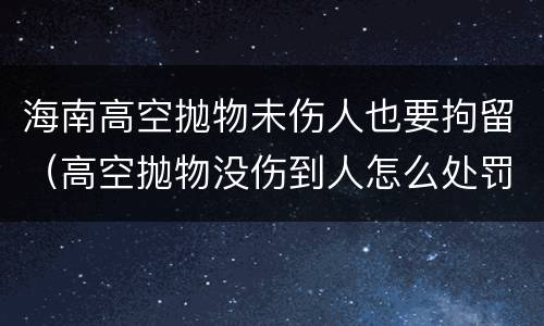 海南高空抛物未伤人也要拘留（高空抛物没伤到人怎么处罚）