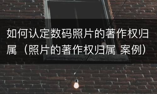 如何认定数码照片的著作权归属（照片的著作权归属 案例）