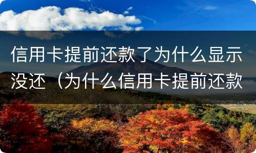 信用卡提前还款了为什么显示没还（为什么信用卡提前还款还不进去）