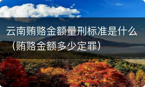云南贿赂金额量刑标准是什么（贿赂金额多少定罪）