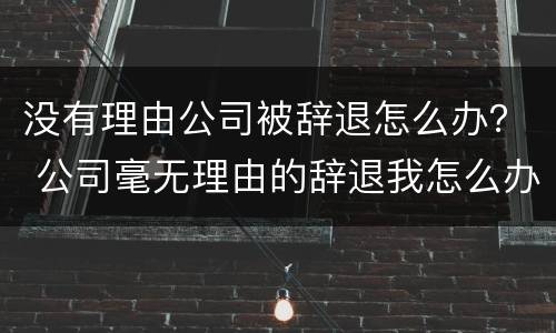 没有理由公司被辞退怎么办？ 公司毫无理由的辞退我怎么办