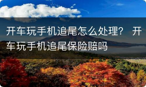 开车玩手机追尾怎么处理？ 开车玩手机追尾保险赔吗
