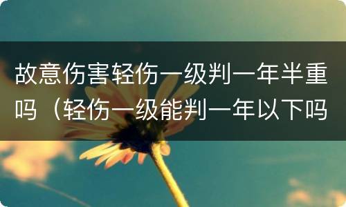 故意伤害轻伤一级判一年半重吗（轻伤一级能判一年以下吗）