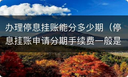 办理停息挂账能分多少期（停息挂账申请分期手续费一般是多少）