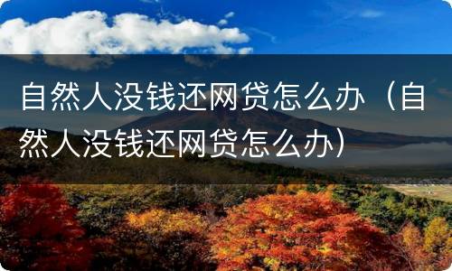 自然人没钱还网贷怎么办（自然人没钱还网贷怎么办）