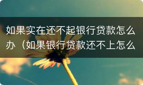 如果实在还不起银行贷款怎么办（如果银行贷款还不上怎么办）