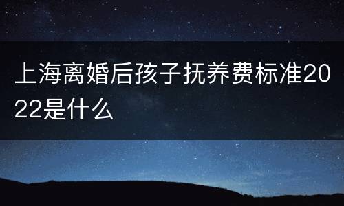 上海离婚后孩子抚养费标准2022是什么