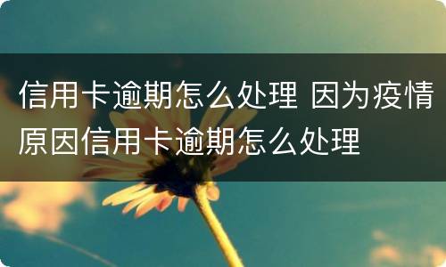 信用卡逾期怎么处理 因为疫情原因信用卡逾期怎么处理