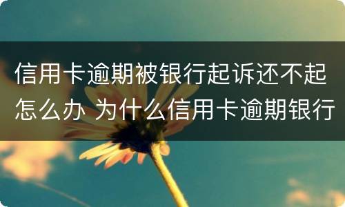 信用卡逾期被银行起诉还不起怎么办 为什么信用卡逾期银行不起诉
