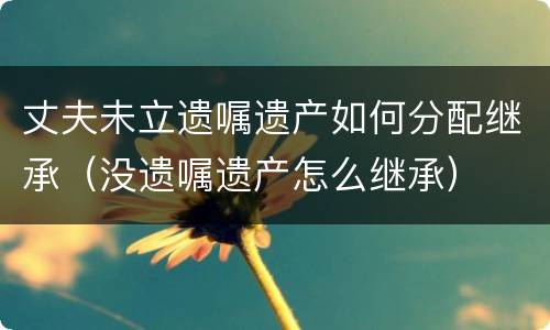 丈夫未立遗嘱遗产如何分配继承（没遗嘱遗产怎么继承）