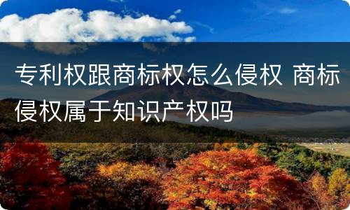 专利权跟商标权怎么侵权 商标侵权属于知识产权吗