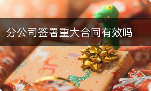 分公司签署重大合同有效吗