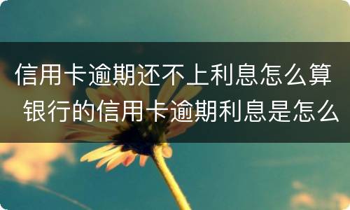 信用卡逾期还不上利息怎么算 银行的信用卡逾期利息是怎么计算的