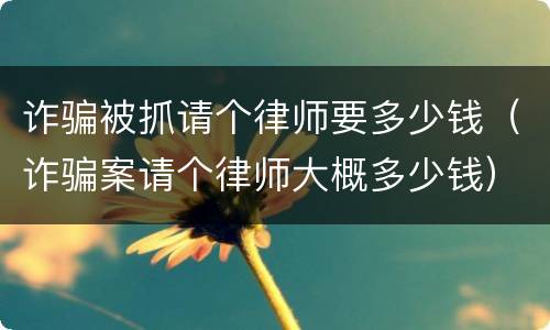 诈骗被抓请个律师要多少钱（诈骗案请个律师大概多少钱）