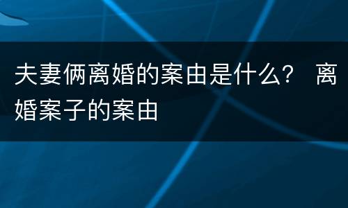 夫妻俩离婚的案由是什么？ 离婚案子的案由