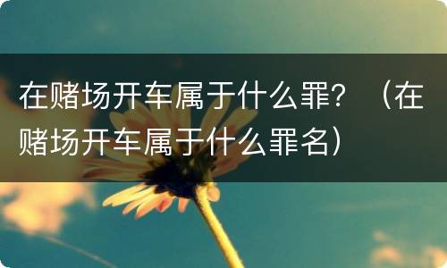 在赌场开车属于什么罪？（在赌场开车属于什么罪名）