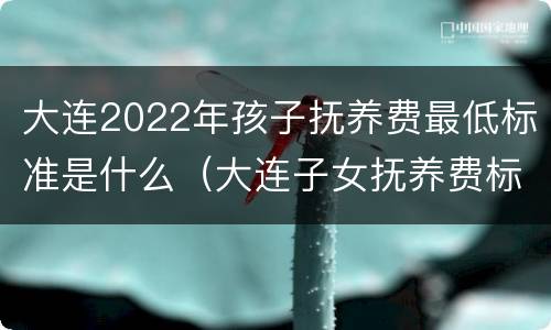 大连2022年孩子抚养费最低标准是什么（大连子女抚养费标准）
