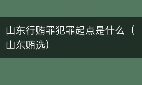 山东行贿罪犯罪起点是什么（山东贿选）